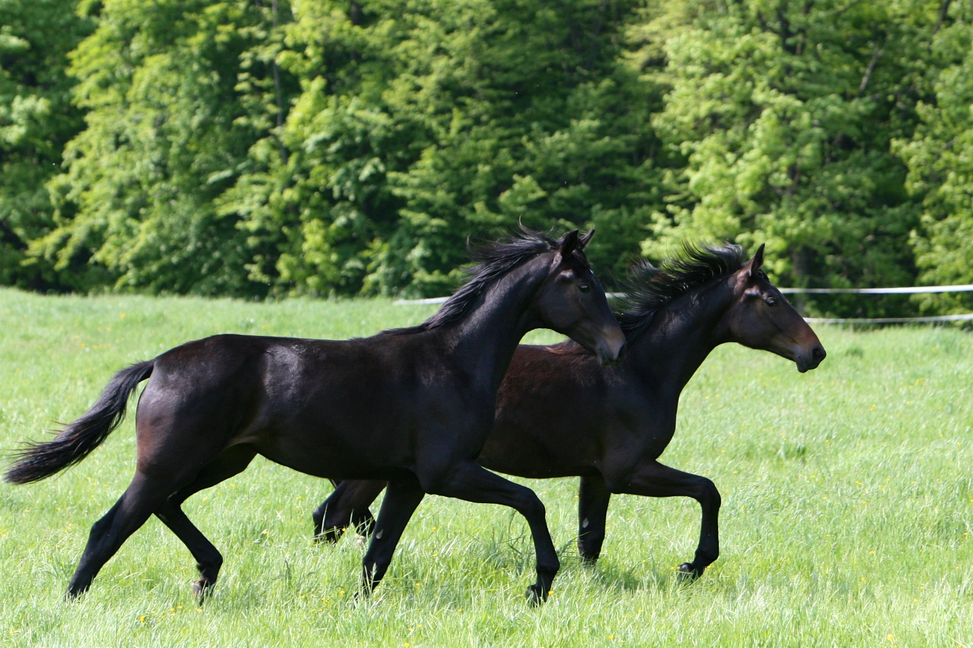  Fahrenheide & Elfenlüsche 